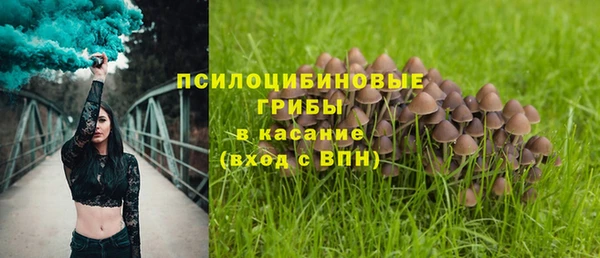 крисы Володарск