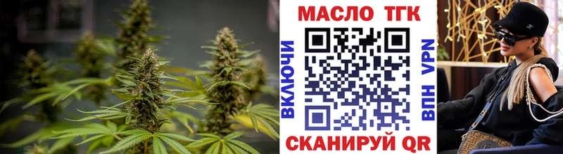 ТГК концентрат  Купить  Бологое 