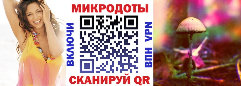 Купить закладки  Бологое  Псилоцибиновые грибы MAGIC MUSHROOMS 